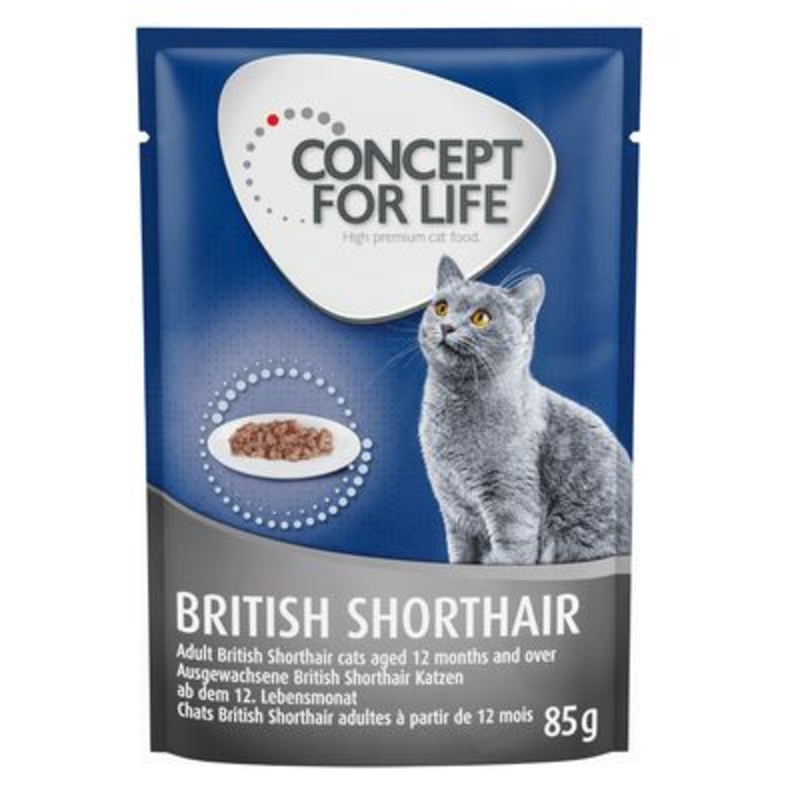 Concept for Life British Shorthair Adult - in Ragout