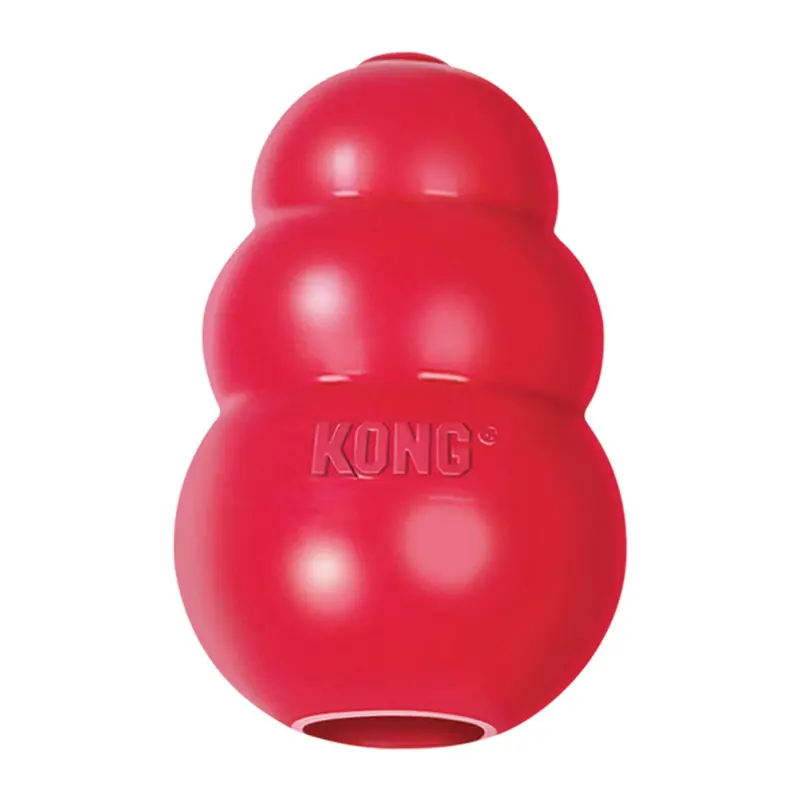 KONG Classic Hard Rubber Dental Dog Toys
