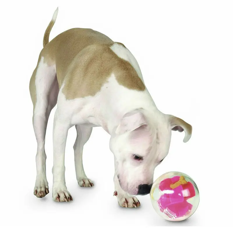 Planet Dog Orbee-Tuff Mazee Dog Toy - Raspberry