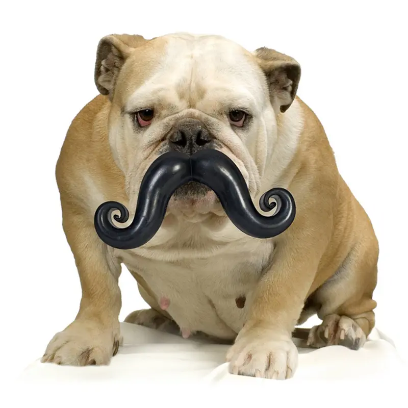 Humunga Stache Dog Toy