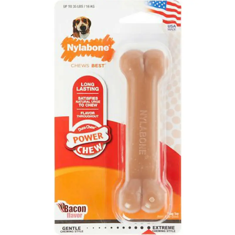 Nylabone Durable Bacon Flavor Dog Toy Bone