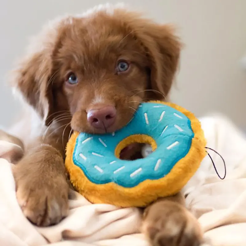 ZippyPaws Donutz Dog Toy - Blueberry