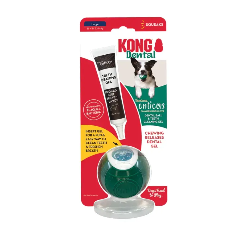 KONG Dental Ball Dog Toy with Teeth Cleaning Gel