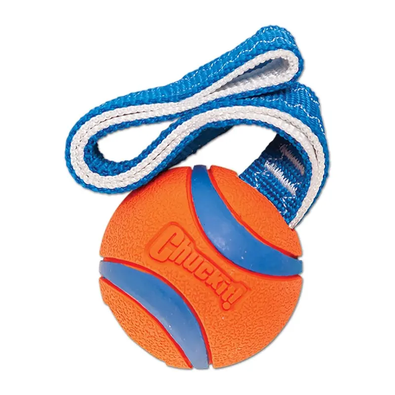 Chuckit! Ultra Tug Dog Toy