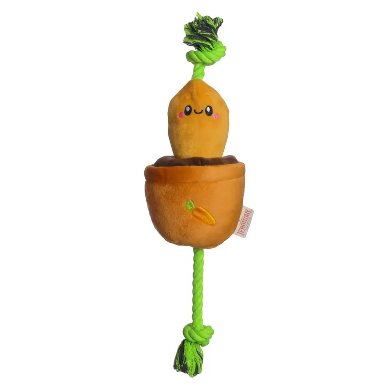 Territory 2 in 1 Treat & Tug Dog Toy - Carrot