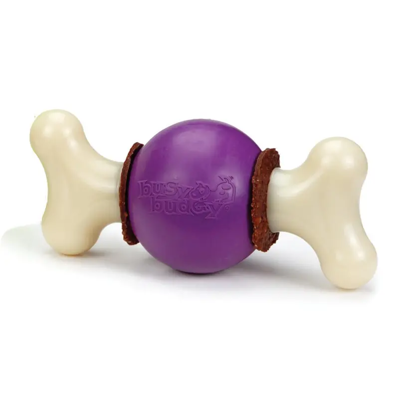 Busy Buddy Bouncy Bone Dog Chew Toy