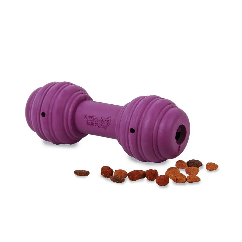 Busy Buddy Chuckle Dog Toy