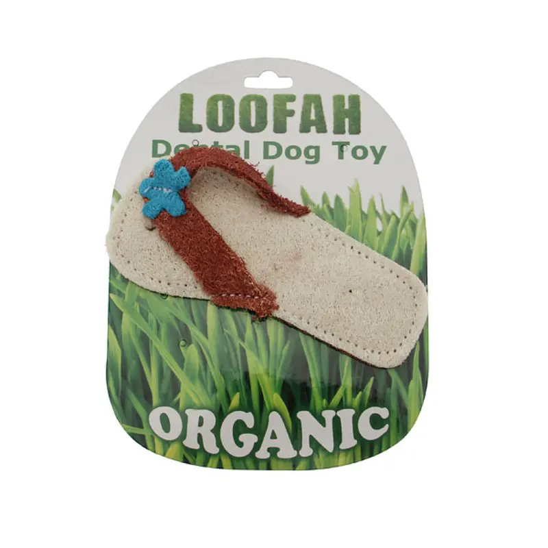 Hip Doggie Loofah Dental Dog Toy - Sandal