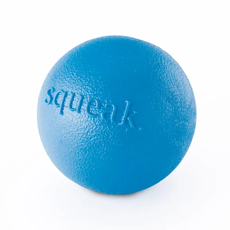 Planet Dog Orbee-Tuff Squeak Dog Toy - Blue
