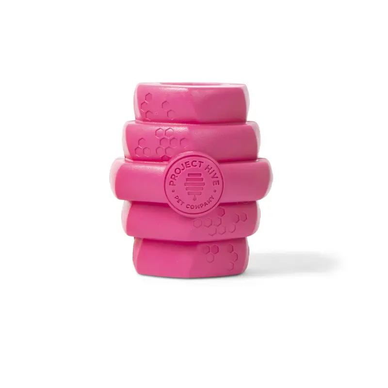 Project Hive Pet Company Hive Durable Chew Toy - Raspberry Wild Berry Scent