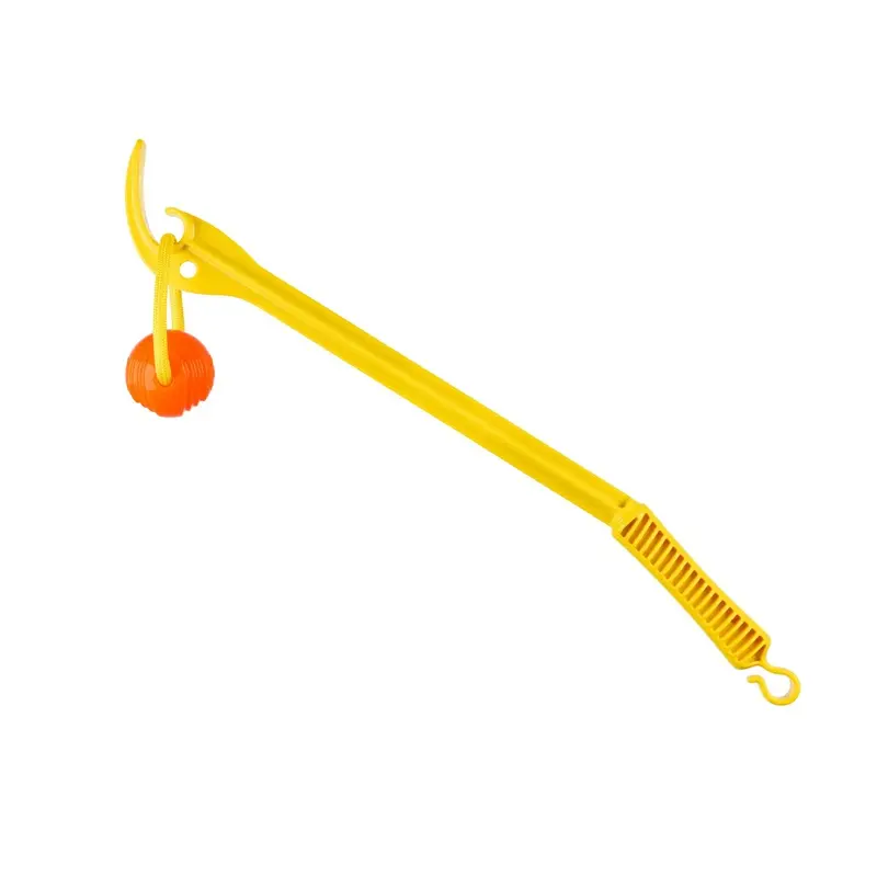 Project Hive Hive Zoomer and Looped Ball Dog Toy Set