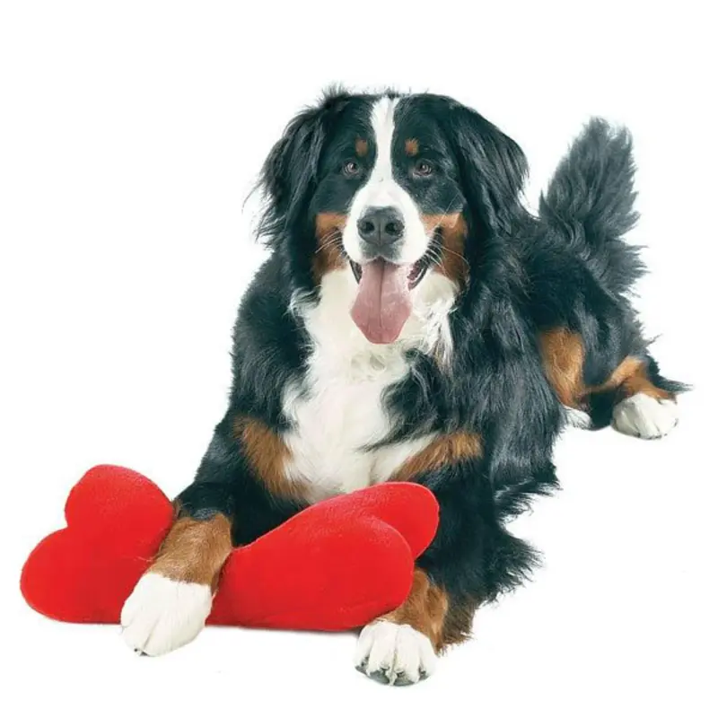 Zanies Mega Plush Bone Dog Toy