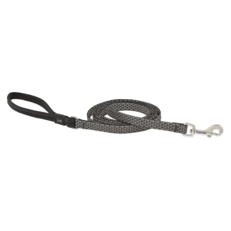 Lupine Pet Dog 6 Ft Long 1/2 In Leash Eco Granite