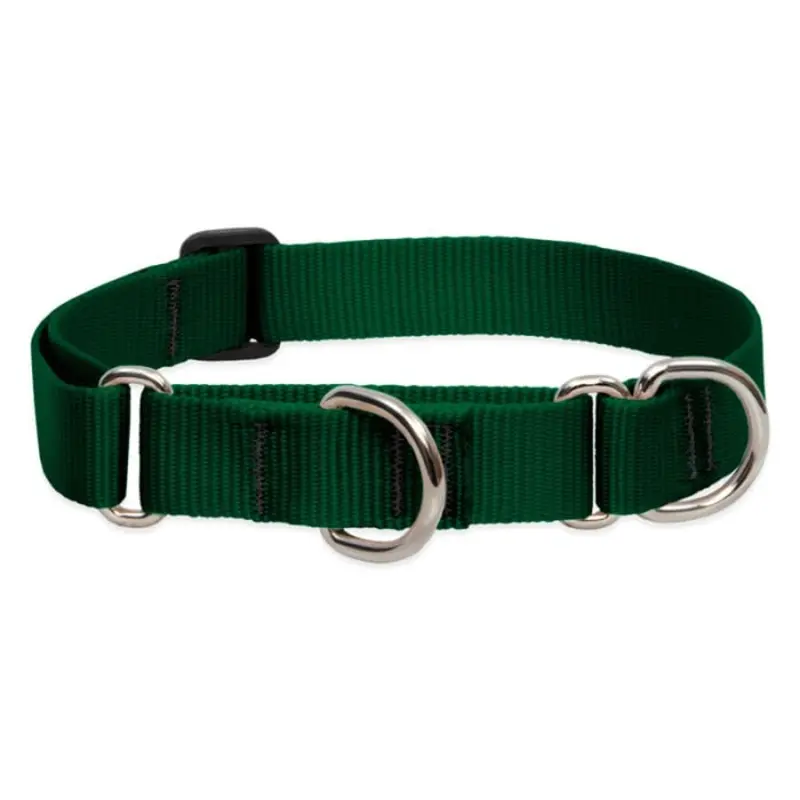 Lupine Pet Dog 1 In Wide 19-27 In Martingale Collar Basic Green