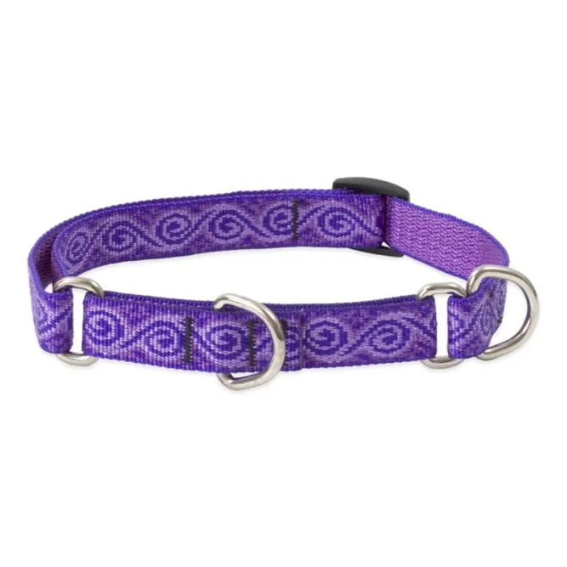 Lupine Pet Dog 3/4 In Wide 14-20 In Martingale Collar Original Designs Jelly Roll