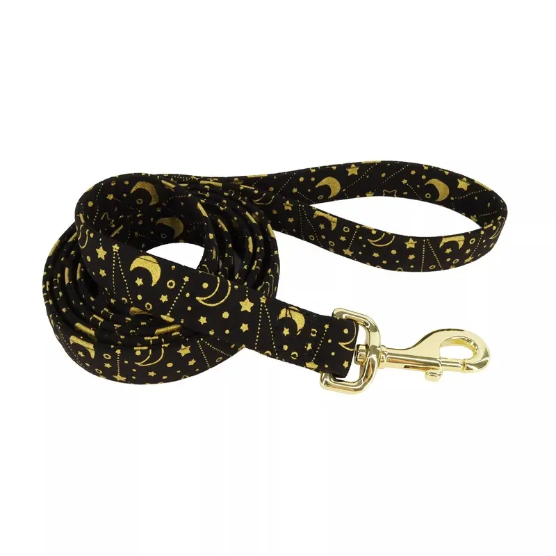 Coastal Accent Metallic 6ft Long 1in Dog Leash Black Galaxy