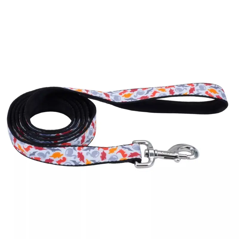 Coastal Exclusive Styles 6ft Long 5/8in Dog Leash Dinosaurs