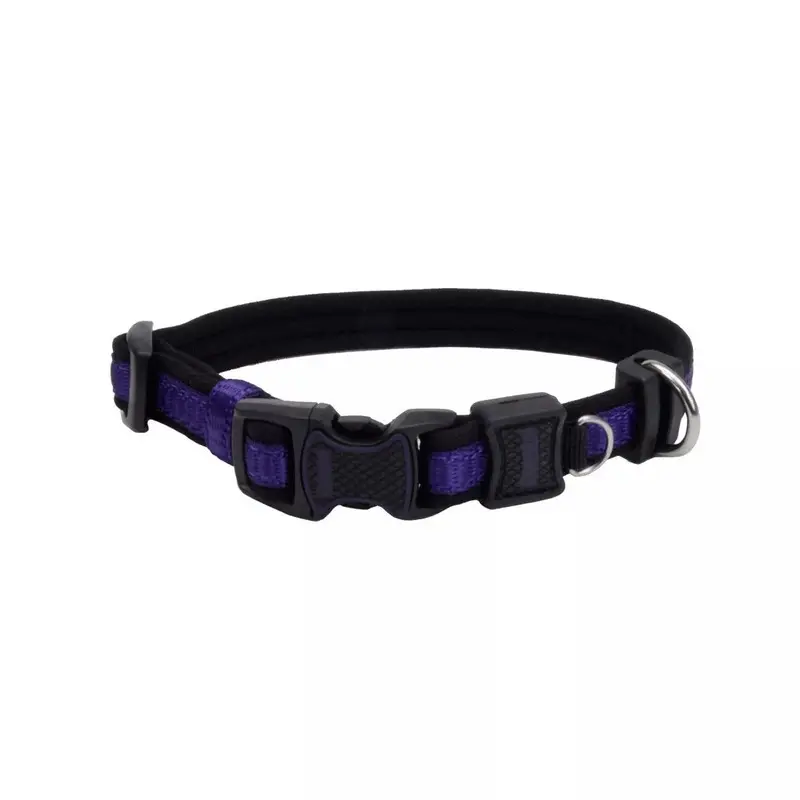 Coastal Inspire 5/8in Wide 8-12in Dog Collar Purple