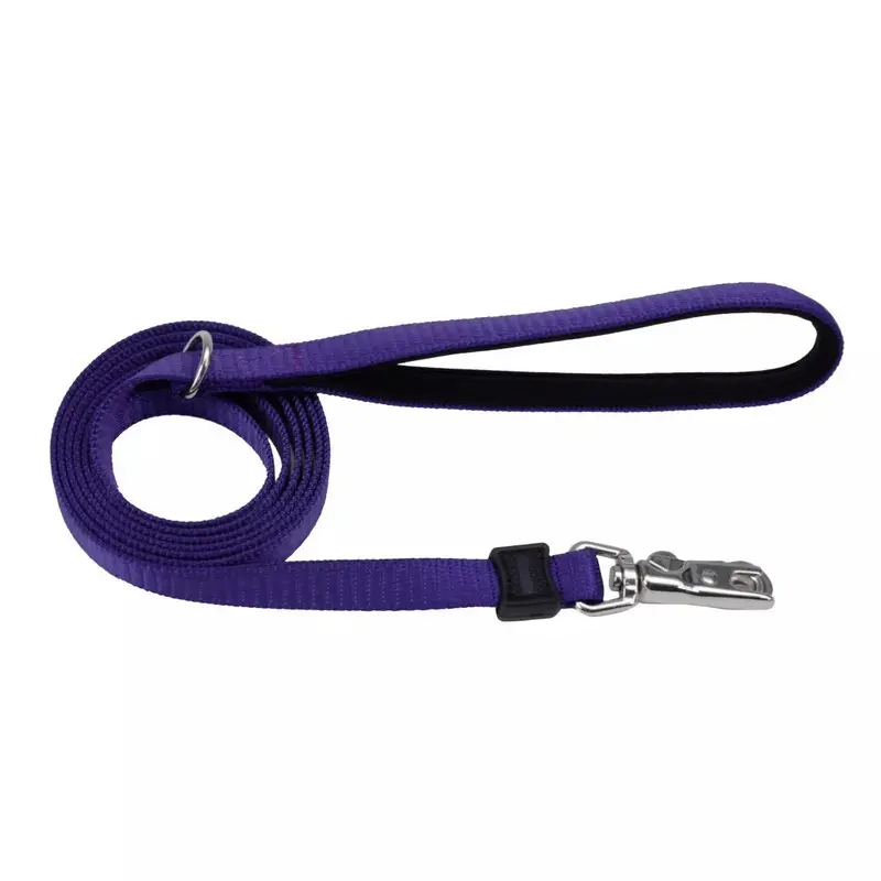 Coastal Inspire 6ft Long 5/8in Dog Leash Purple