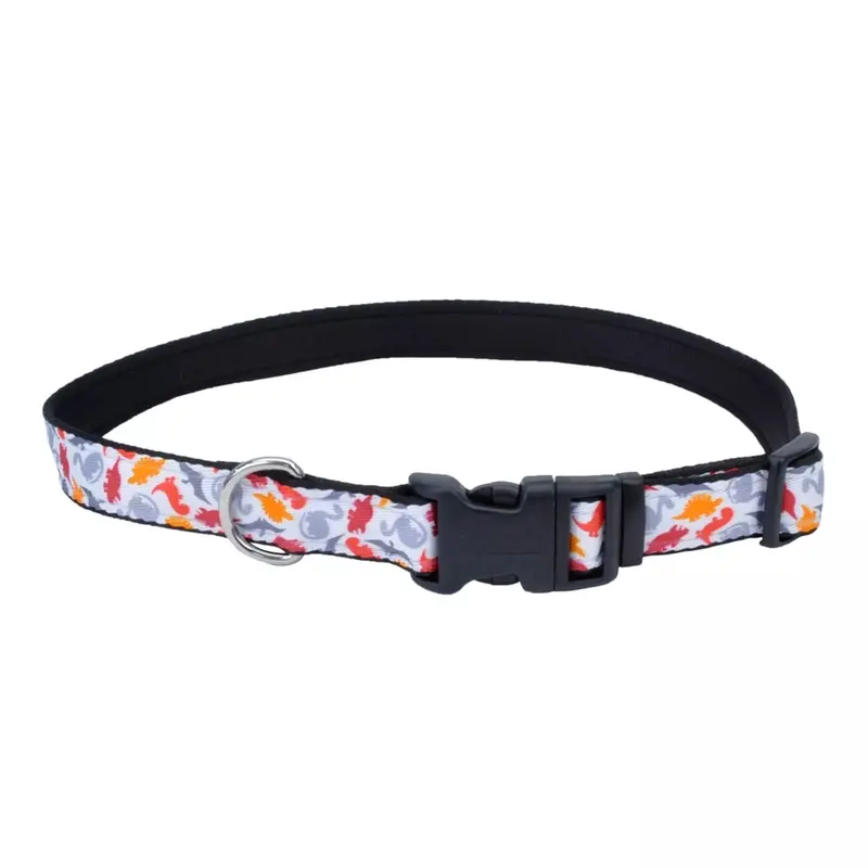 Coastal Exclusive Styles 5/8in Wide 8-12in Dog Collar Dinosaurs