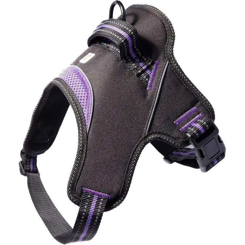 Doggy Tales Hart Dog Harness Purple 60in