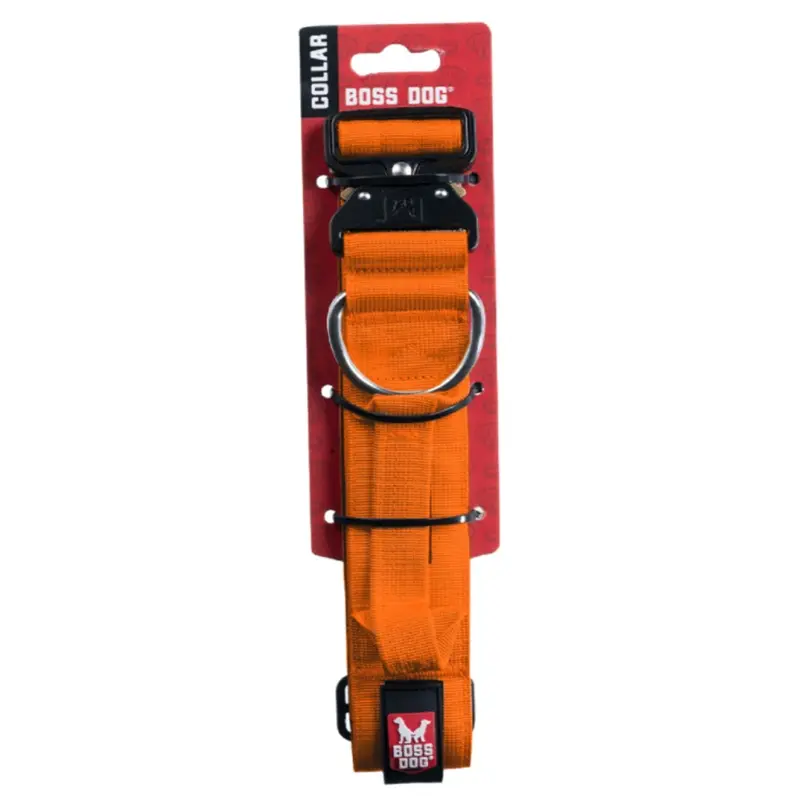 Boss Dog Tactical Dog Collar 17-22 Orange 1.5in
