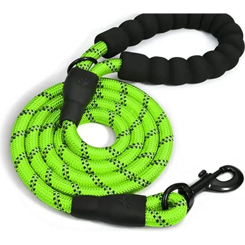 Doggy Tales Braided Dog Leash, 5-ft Lime