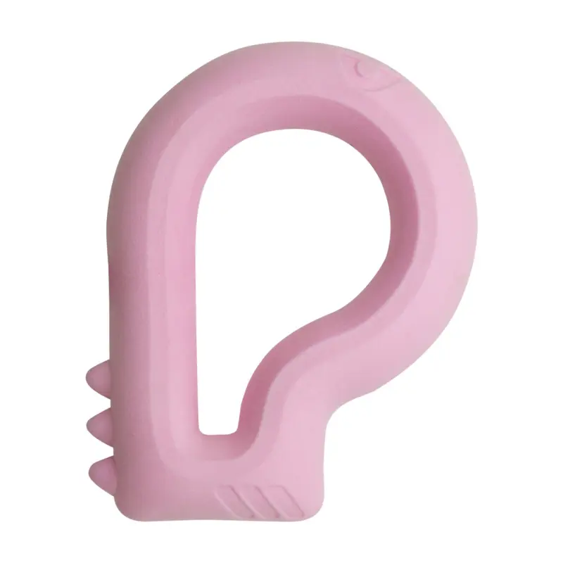 Snugarooz Dog Toy Floating Dino
