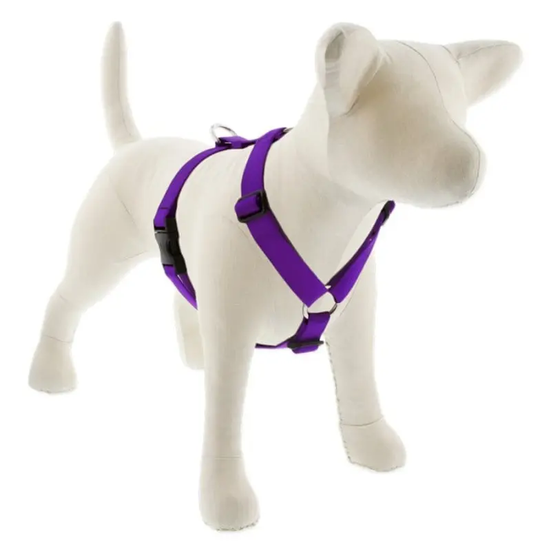 Lupine Pet Dog 1 In Wide 24-38 In Roman Harness Basics Purple