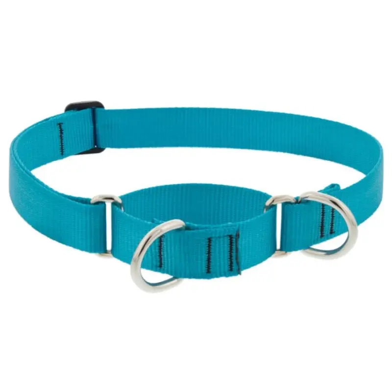 Lupine Pet Dog 1 In Wide 19-27 In Martingale Collar Basic Aqua