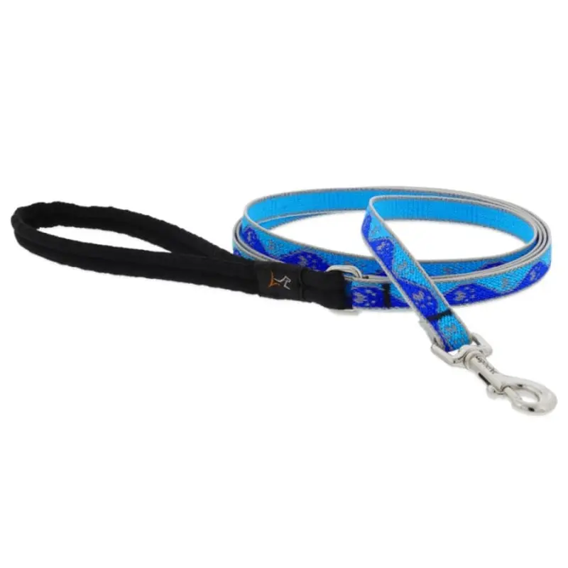Lupine Pet Dog 6 Ft Long 3/4 In Leash Reflective Highlights Blue Paws