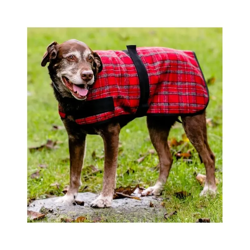 HuggleHounds Red Dog Plaid Coat Medium