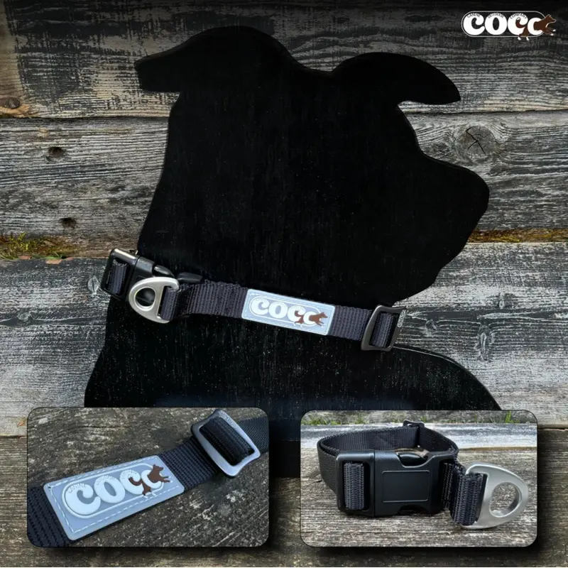 Canine Outdoor Adjustable Dog Collar Black