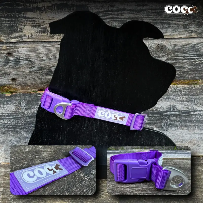 Canine Outdoor Adjustable Dog Collar Purple