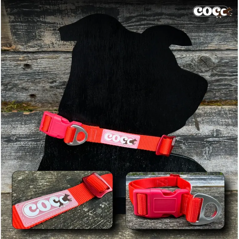 Canine Outdoor Adjustable Dog Collar Red