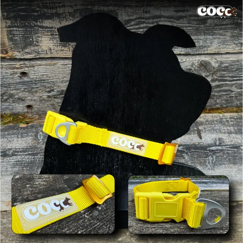 Canine Outdoor Adjustable Dog Collar Yellow
