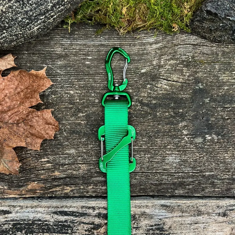Canine Outdoor Crosswalk Clip Hands Free 10ft Dog Leash Green