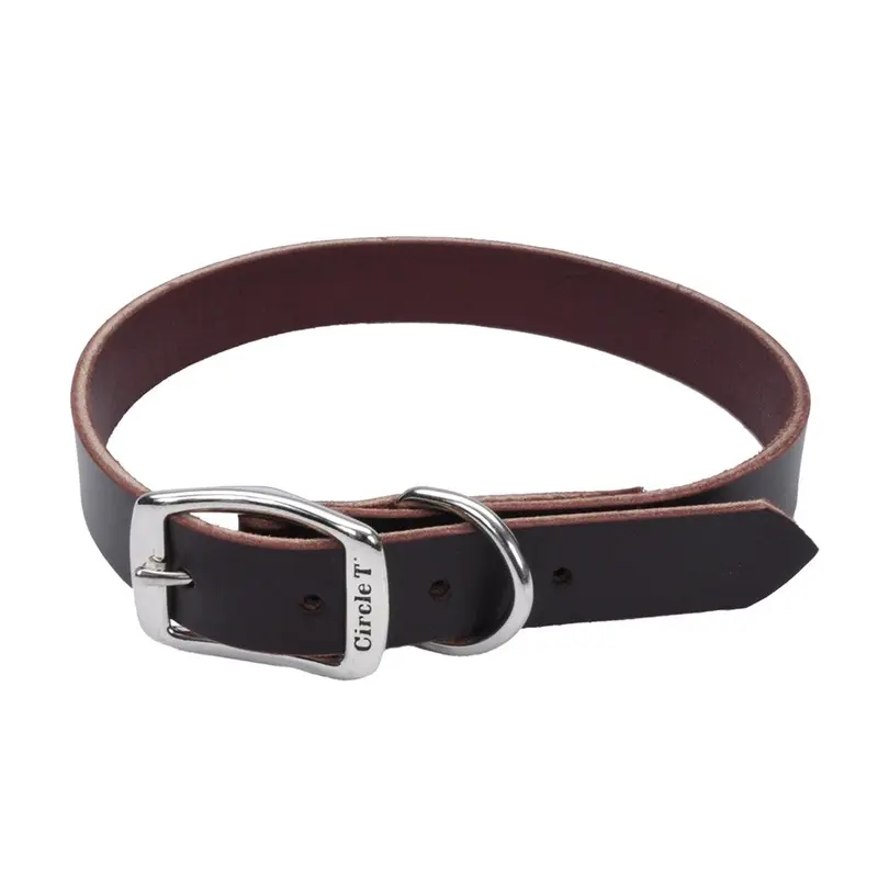 Coastal Circle T 1in Wide 22in Leather Town Dog Collar, Latigo
