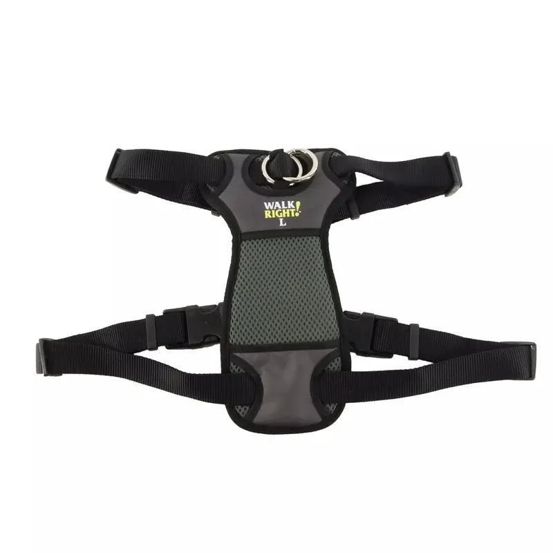 Coastal Walk Right! Front-Connect Small 16-24in No-Pull Padded Dog Harness Black