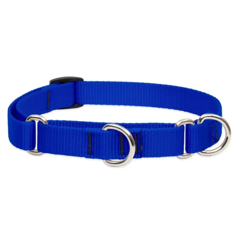 Lupine Pet Dog 3/4 In Wide 14-20 In Martingale Collar Basic Blue