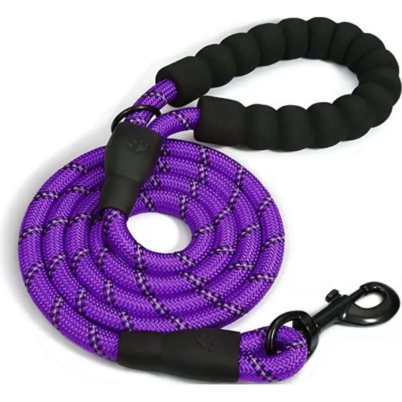 Doggy Tales Braided Dog Leash, 5-ft Purple