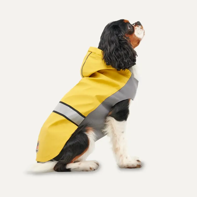 Gooeez Reflective Hooded Raincoat Yellow/Grey Medium