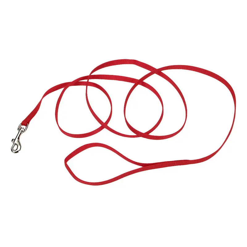 Coastal Single-Ply Nylon Leash Red 3/8x6ft 