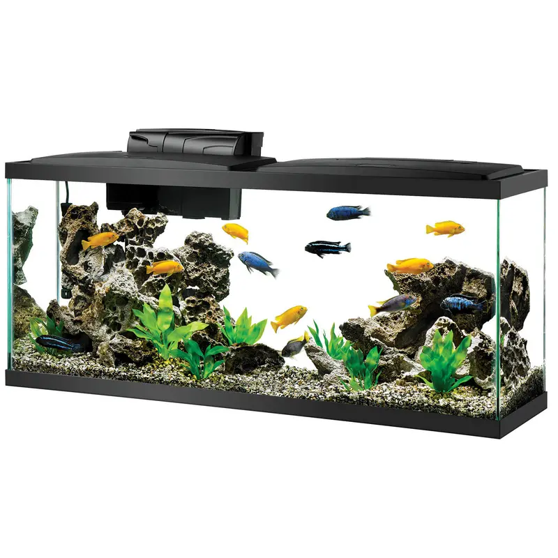 Aqueon Aquarium Starter Kit with LED Lighting Size 55 SD-3