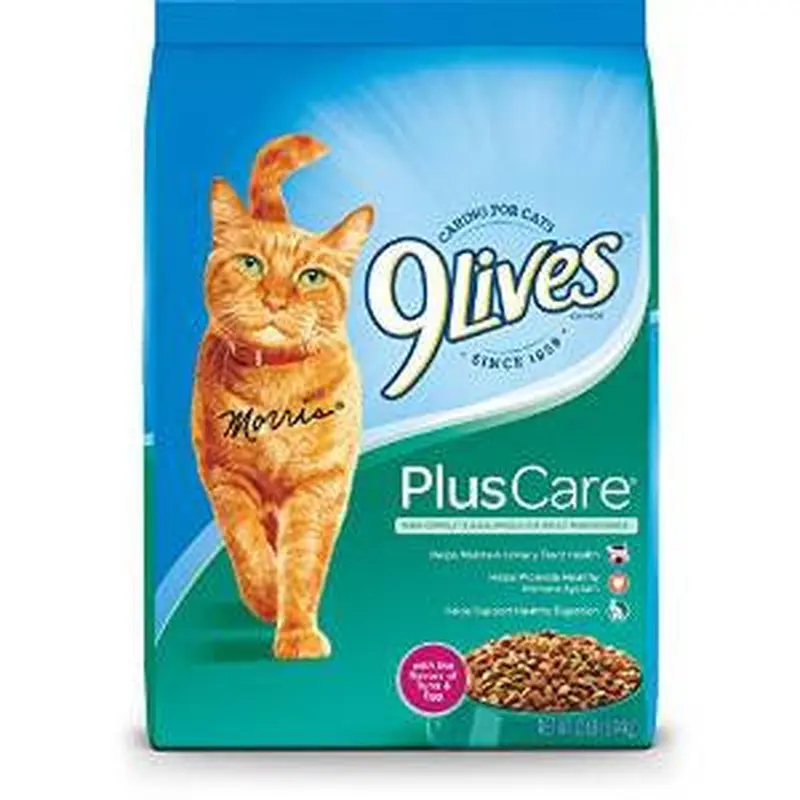 9 Lives Plus Care Formula Dry Cat Food-12-lb-