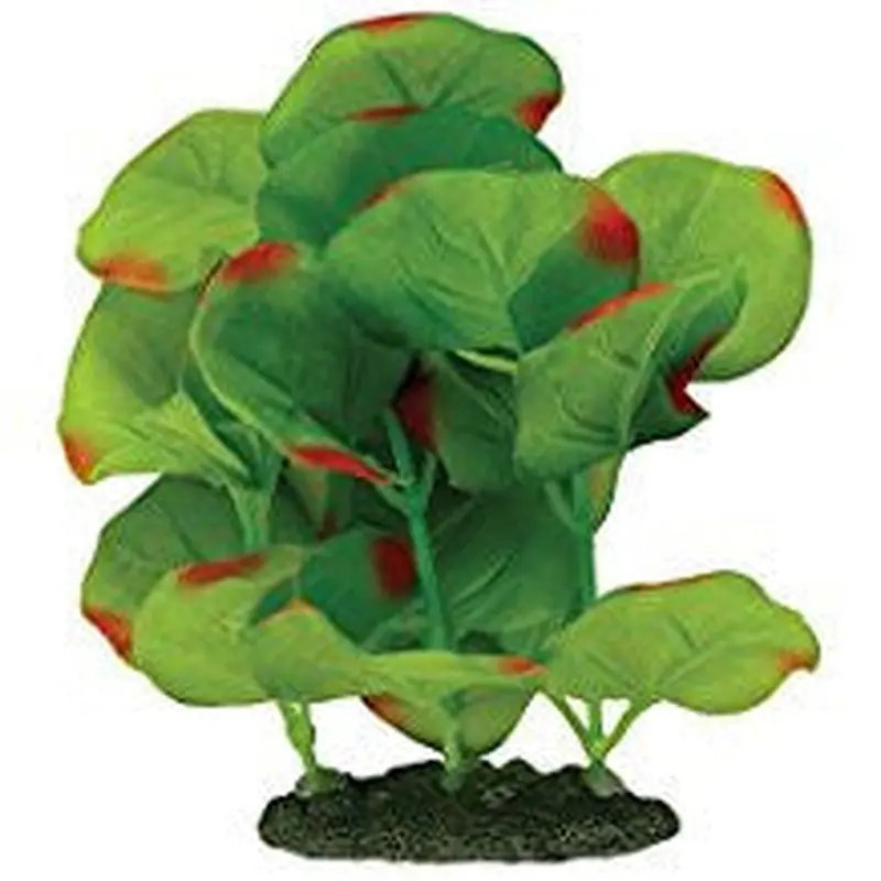 Marina Naturals Green Moneywort Forground Plant Pp115