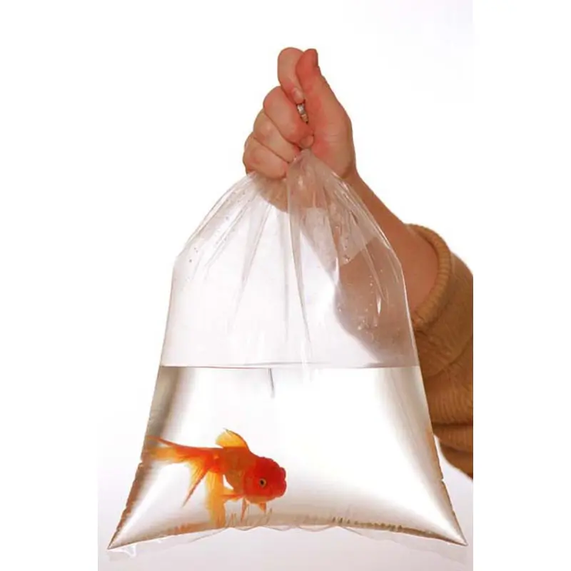 Rutan Poly Industries Fish Bags Clear 2mm 12 InchesX 24 Inches, 500 Bag