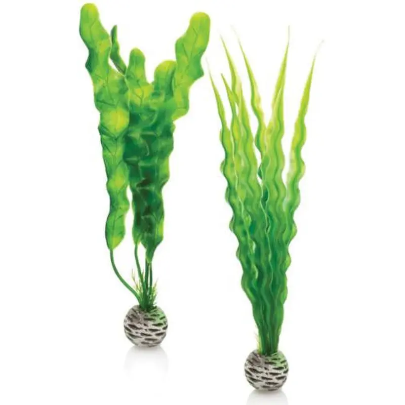biOrb Easy Plant Medium Green 2 ct