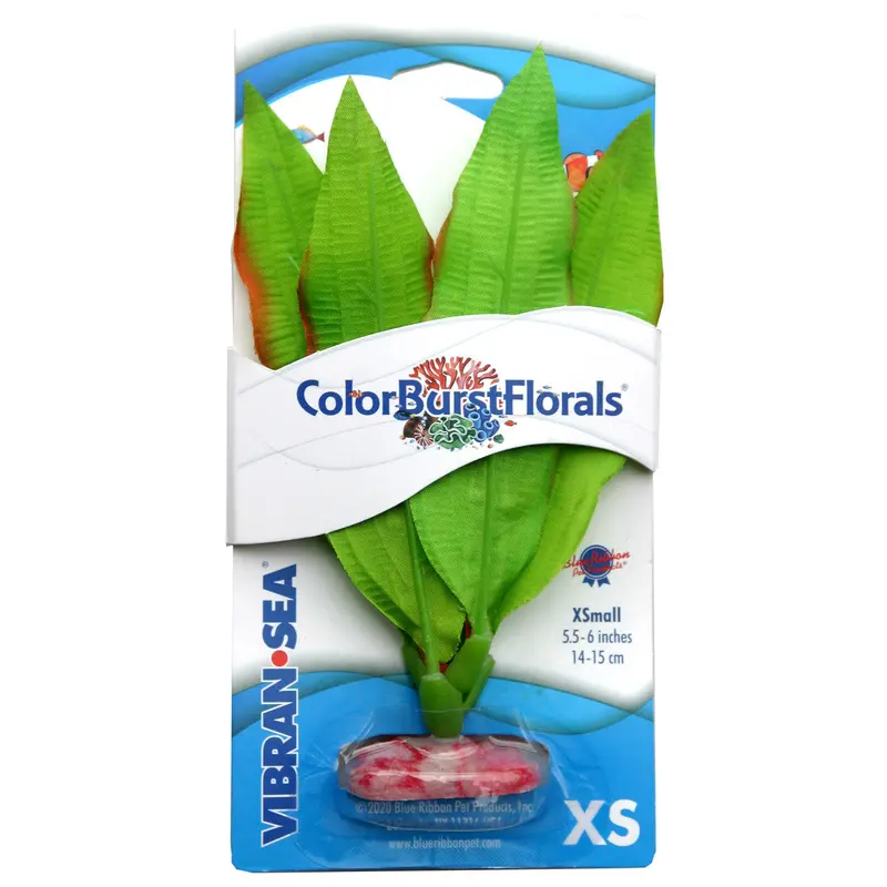 Blue Ribbon Colorburst Florals Amazon Sword Aquarium Plant Green XS