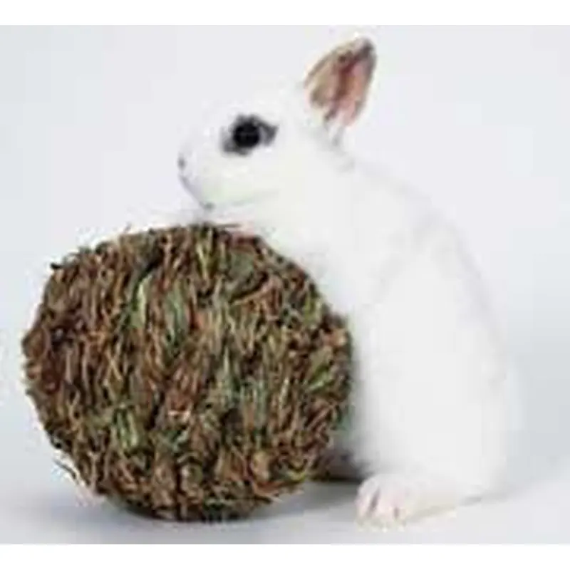 Marshall Woven Grass Play Ball for Small Animals Light Green